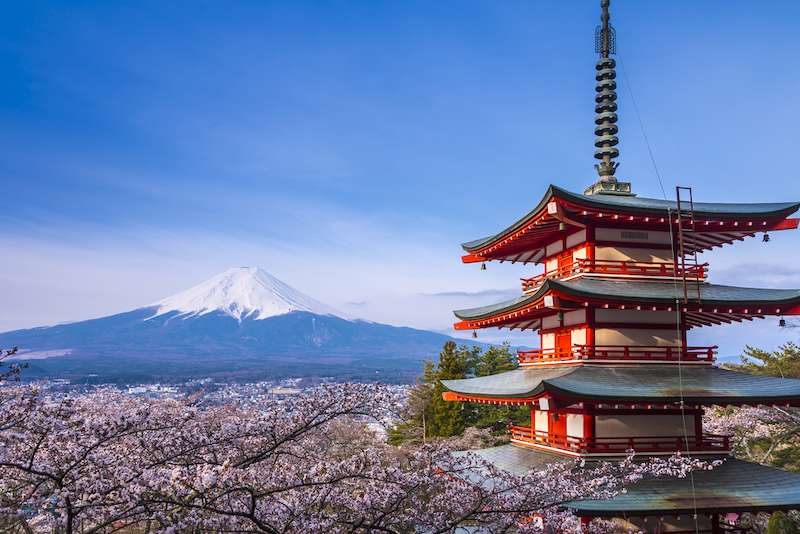 mount fuji landscape view