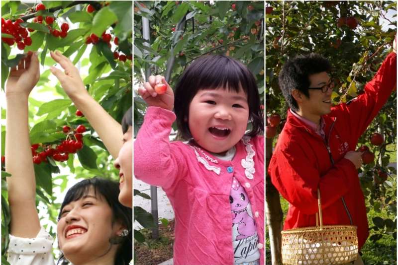 Fruit picking is an activity appreciated by all ages