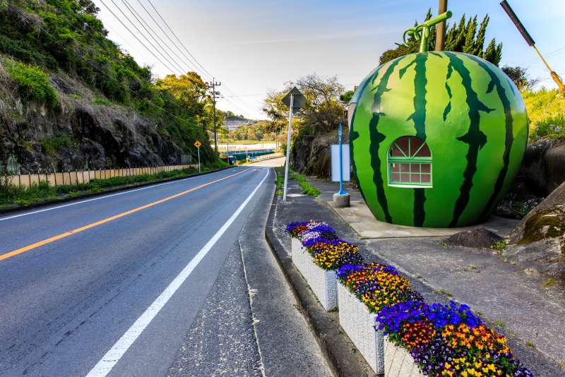 watermelon fruit bus stop