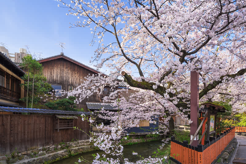 shinbashi-dori, gion