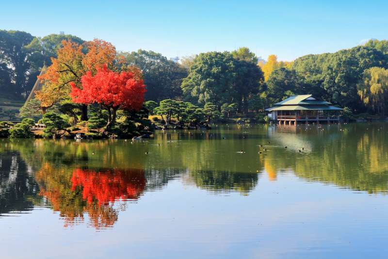 Fundo de anime com uma floresta e uma lagoa