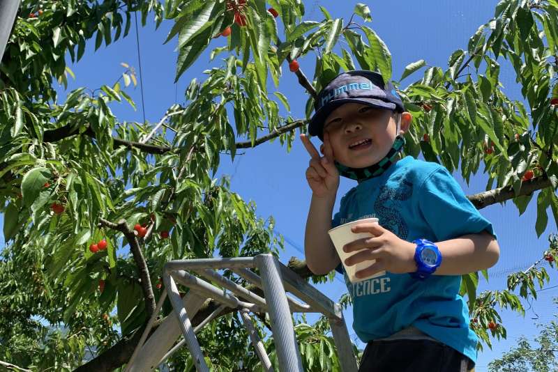 Children will find fruit-picking at the Gaburi Garden