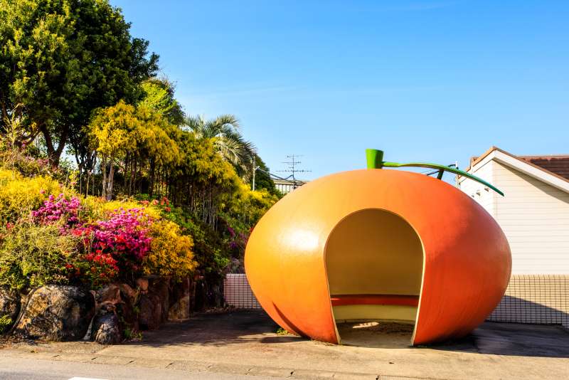 orange fruit bus stop