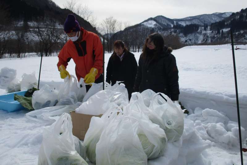 Locals packing the fruits and veggies in the snow
