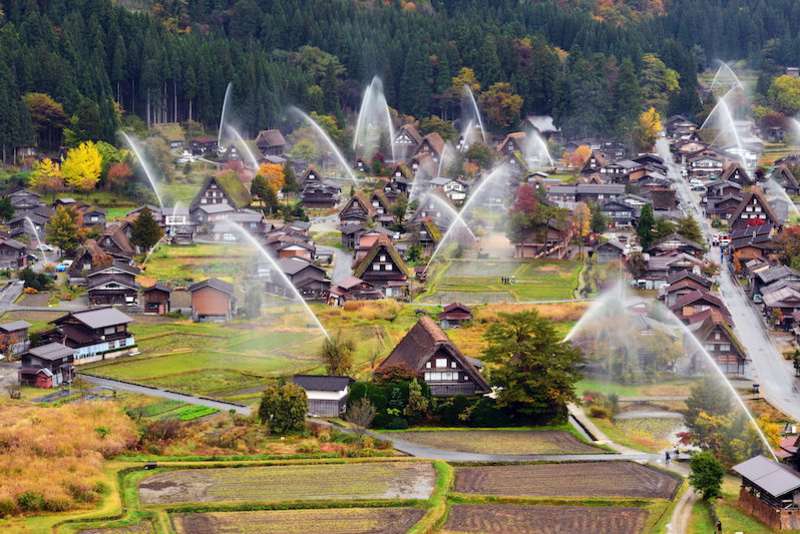 shirakawago autumn
