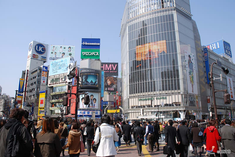 Planning the perfect family holiday in Japan