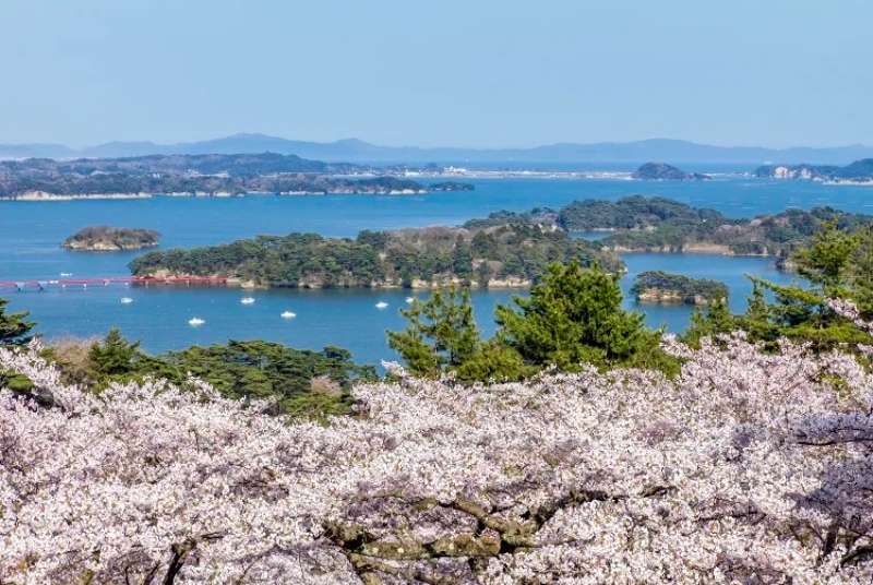 matsushima bay
