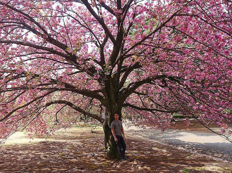 angelo suarez lakwatsero