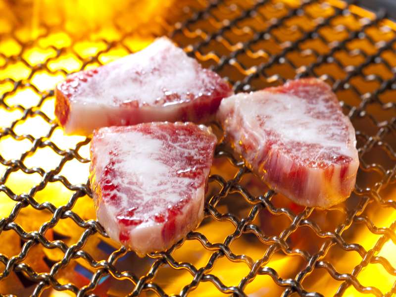 Japanese grill meat discount