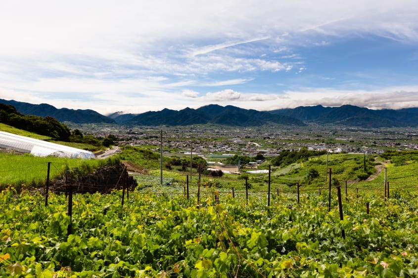 Journey to Lake Suwa