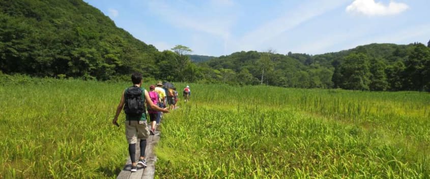 Crossing the Wetlands