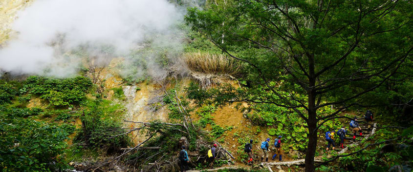 Guided Hiking to Daisetsu Kogen Plateau and Brown Bear Habitat