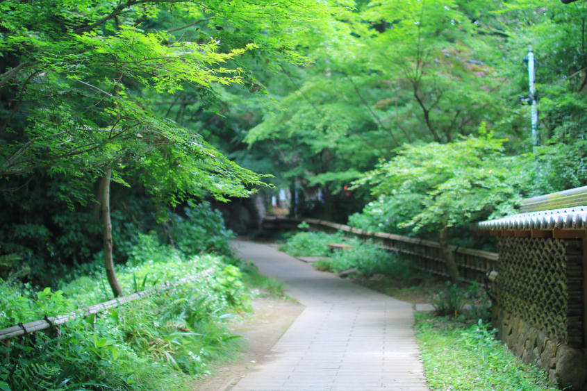 Slip back in time at Jindaiji Temple