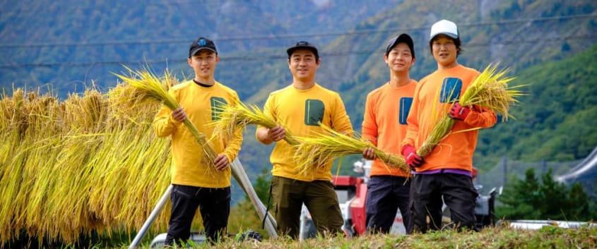 Harvest Rice and Hang Out with Farmers in Hakuba