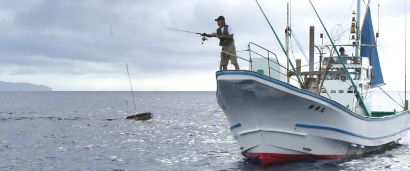 Harvesting and Enjoying the Bounties of the Pacific