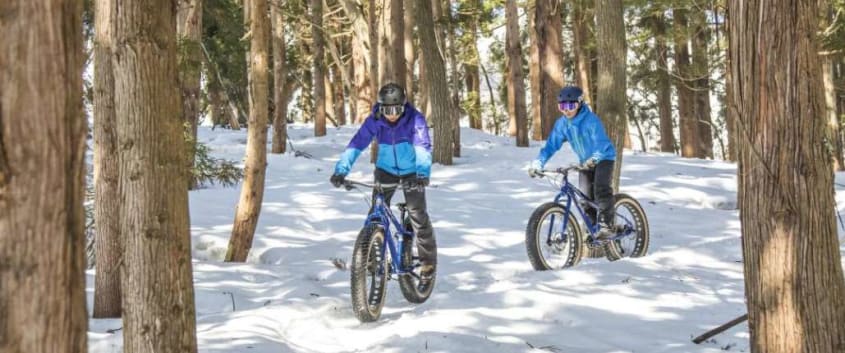 Fat Bike Down the Woods