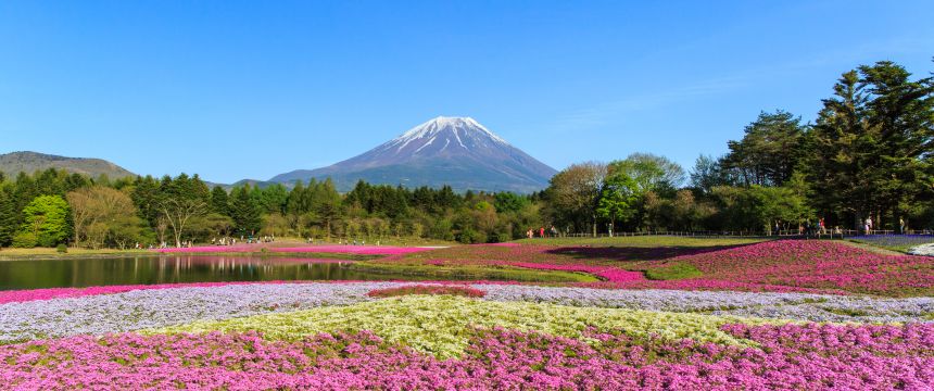 First time in Japan?