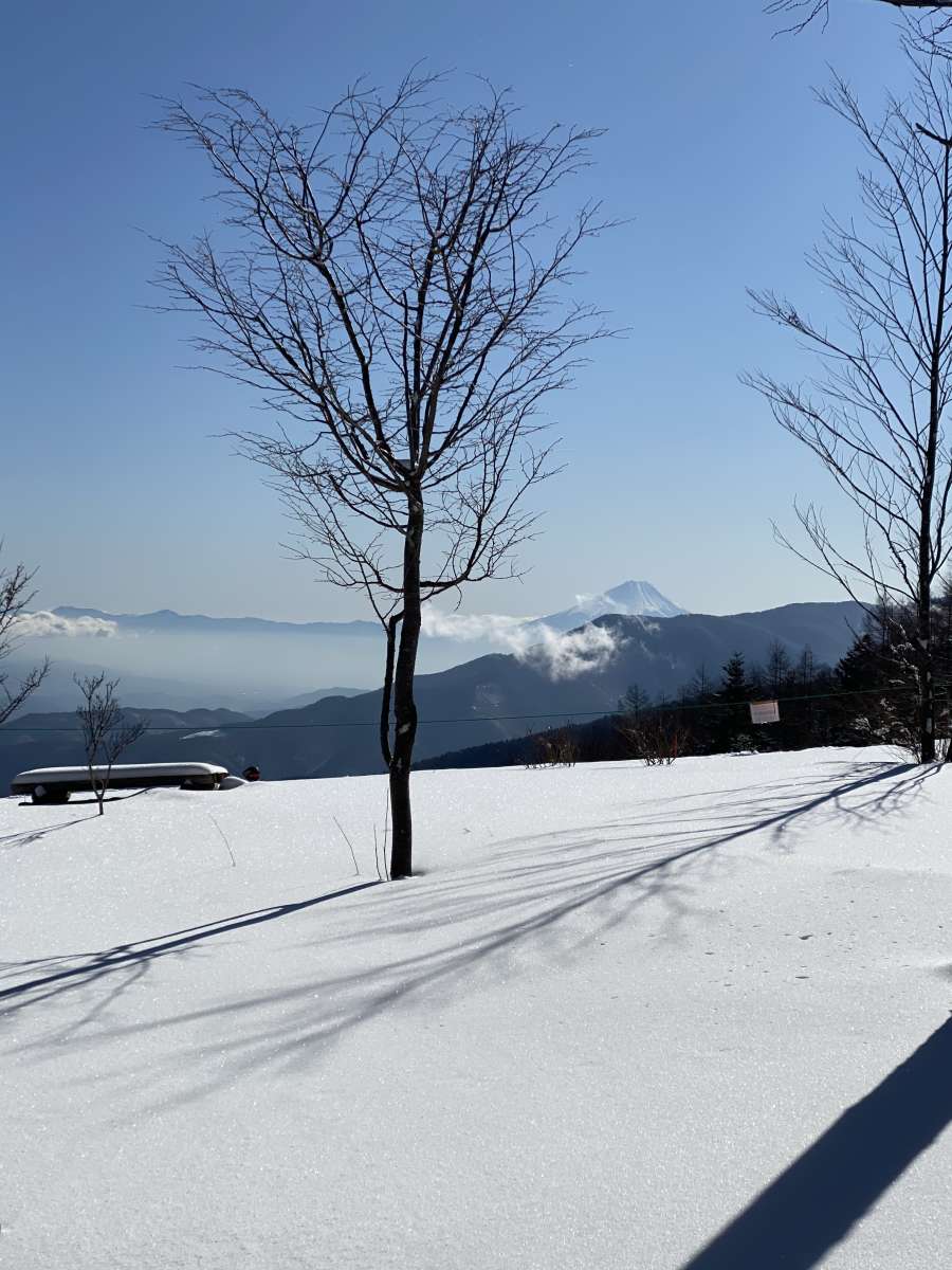 Outdoor Japan (December): Walking in the Snow | Blog | Travel 