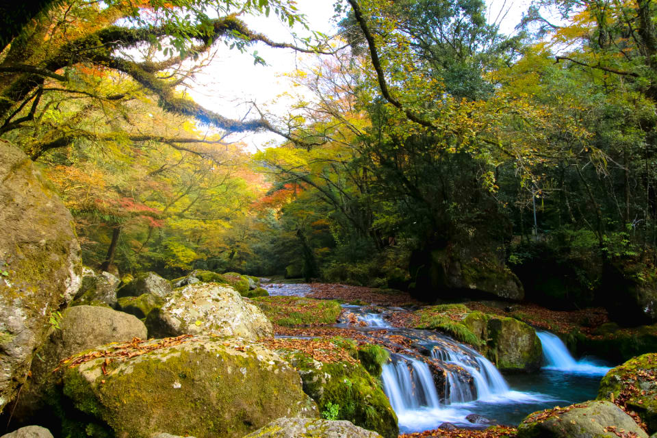 Kumamoto The Autumn Leaves At Kikuchi Gorge Travel Japan Jnto