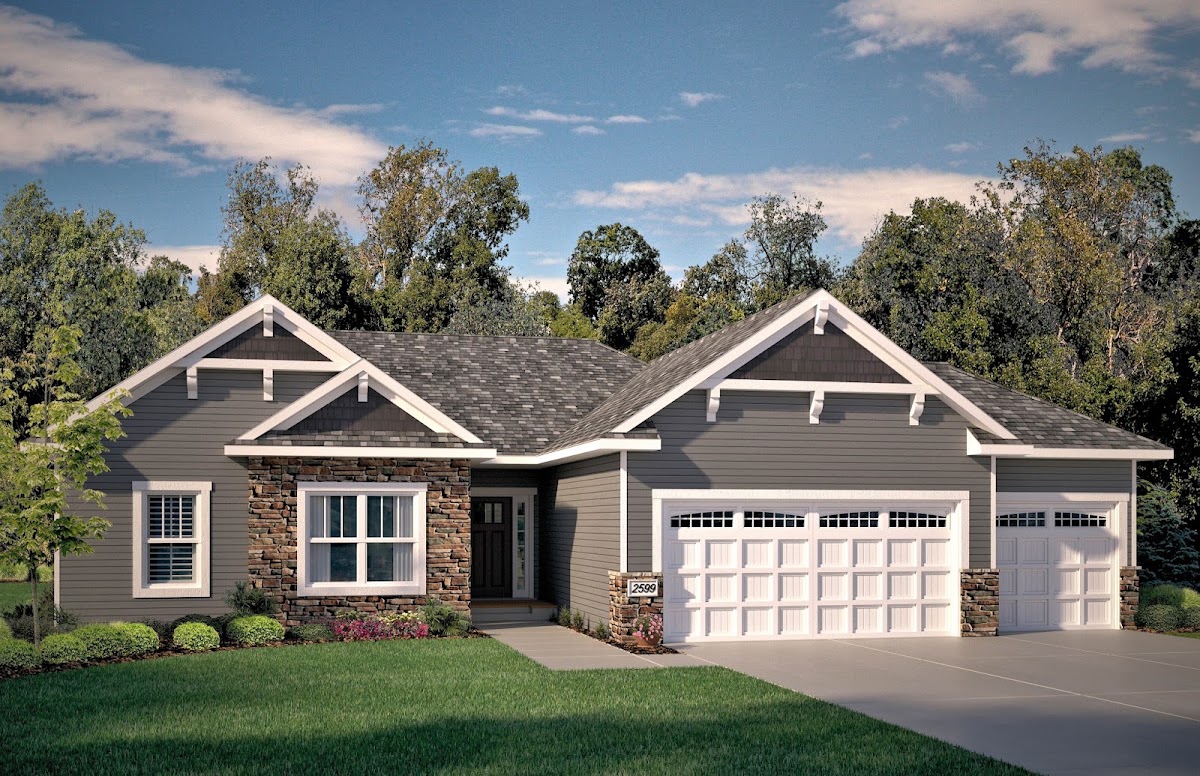 Anderson Renderings