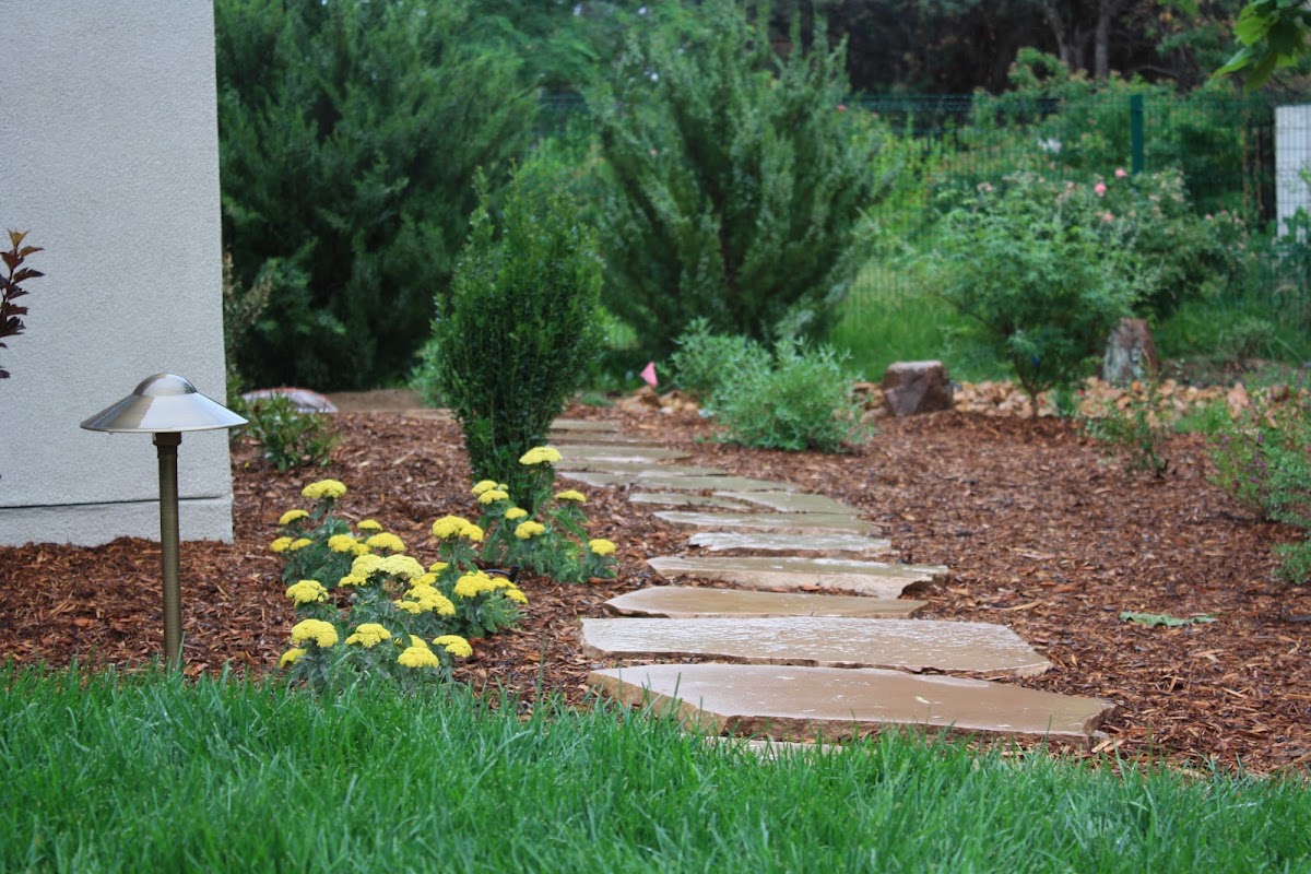 New Mexico Landscaping (Whelchel Landscape & Construction)