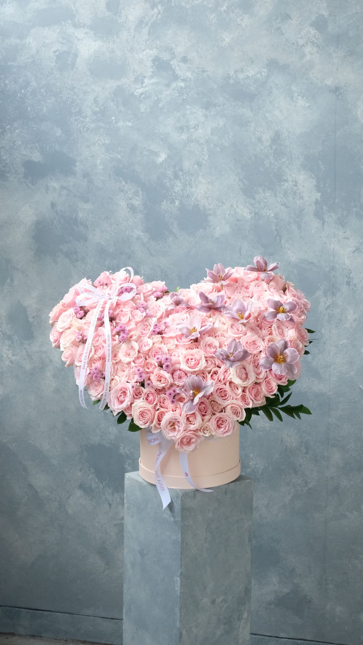 Century Love Bloom