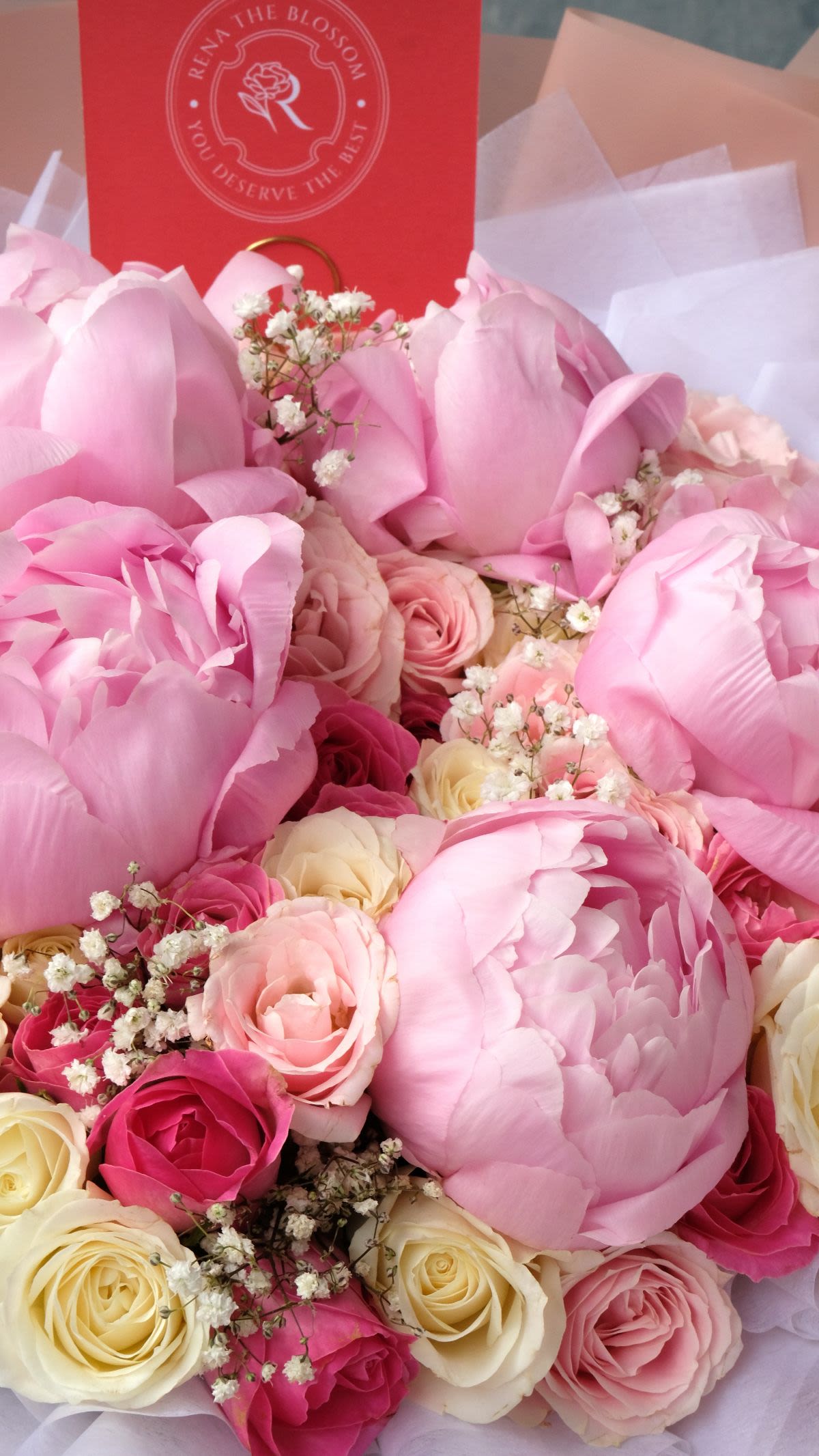 Eternal Peony - Thumbnail 3 - fresh