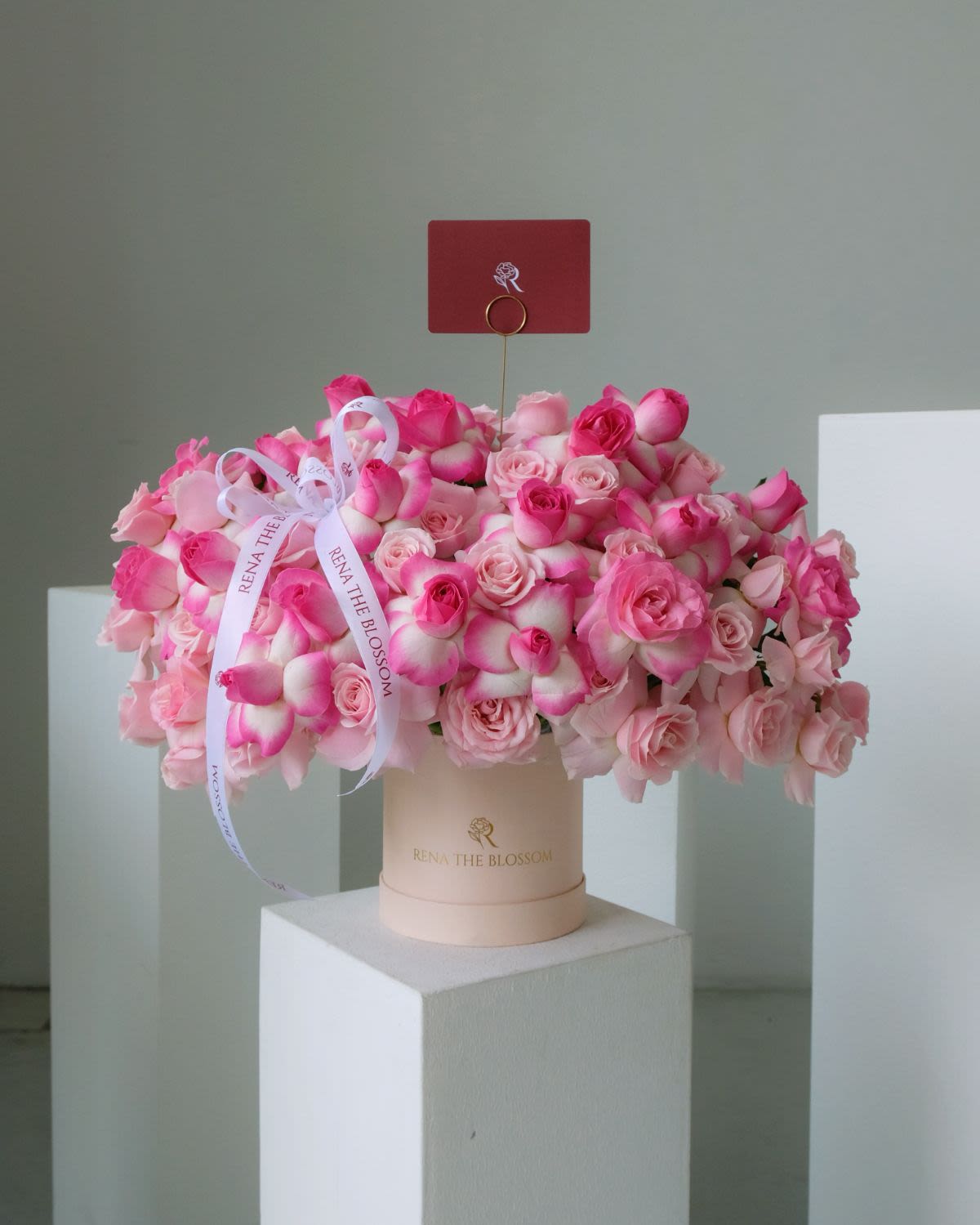 Flexed Rose Bloombox
