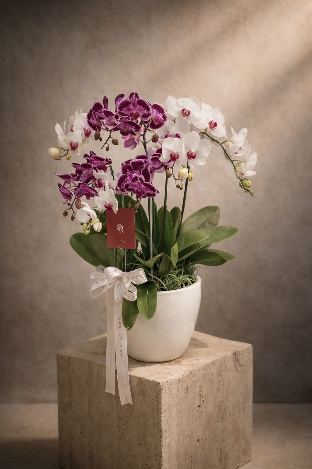 Seven Fortune - Thumbnail 2 - vase