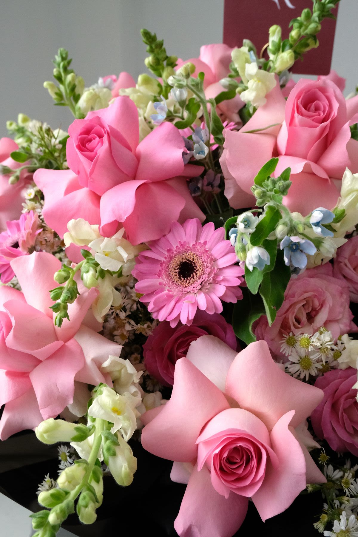 Flowing Rose Garden - Thumbnail 2 - fresh