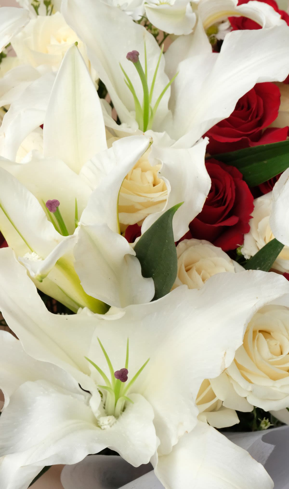 Lily of Passion - Thumbnail 2 - fresh
