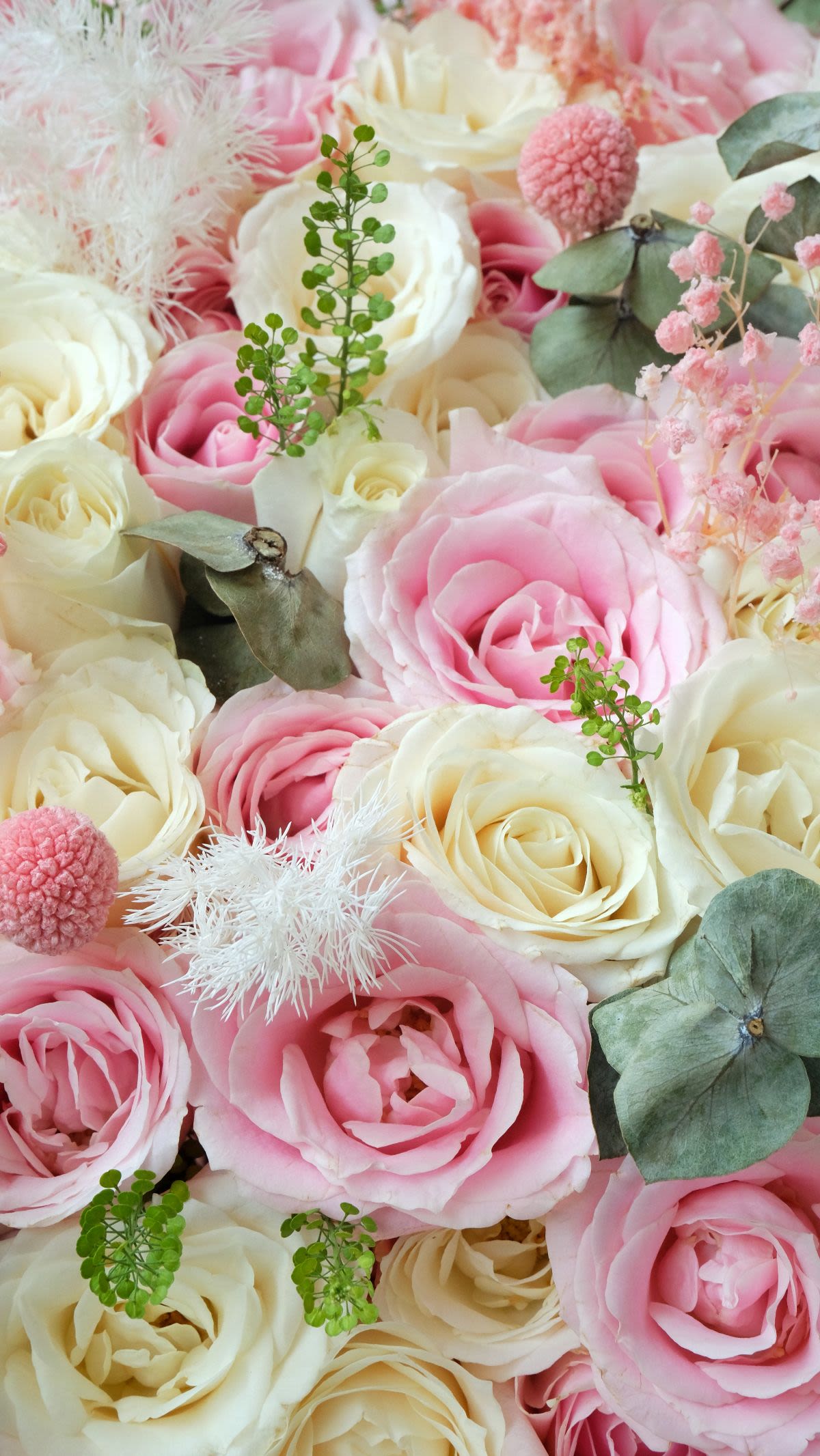 Sweet Garden - Thumbnail 2 - fresh