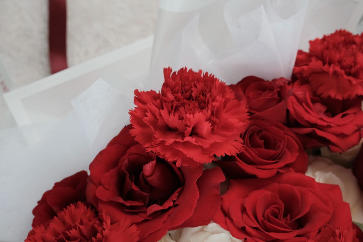 Crimson Elegance - Thumbnail 4 - fresh