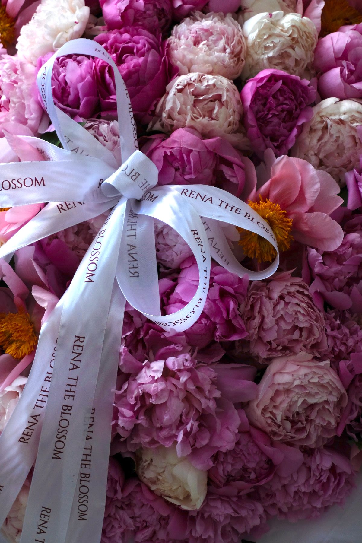 150 Peonies! - Thumbnail 3 - giant