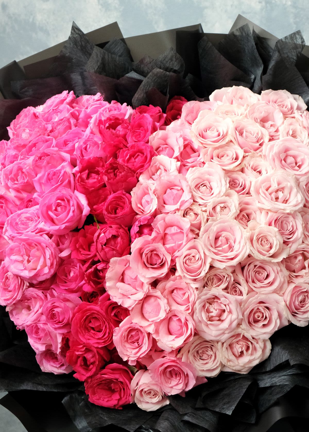 Pink Shade Love - Thumbnail 2 - fresh