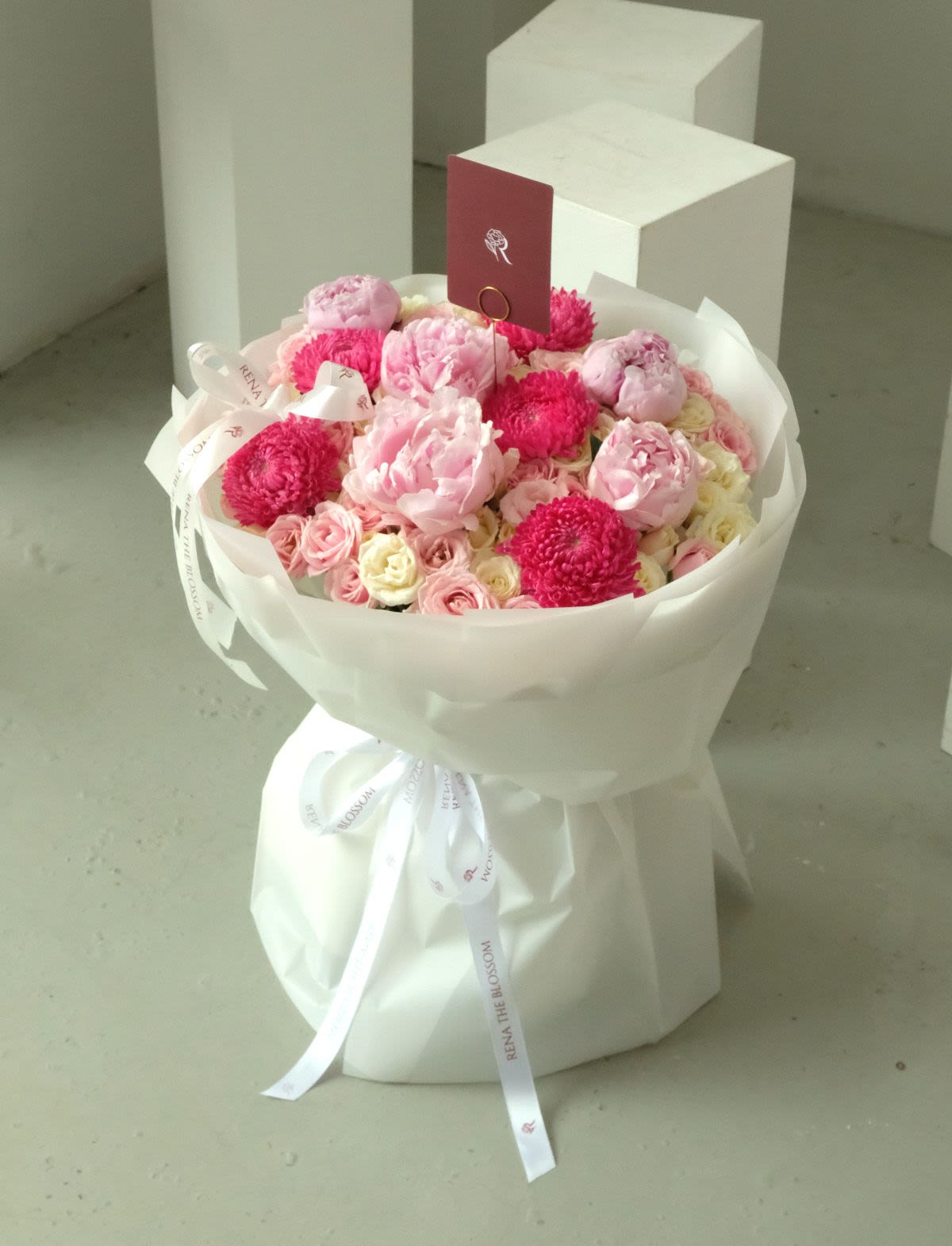 Cotton Blush Peony