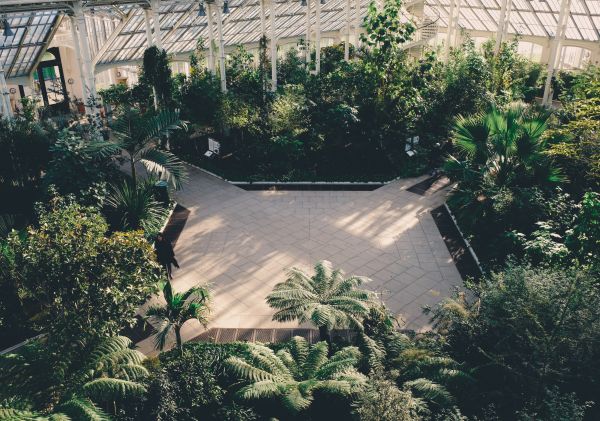 Kew Gardens