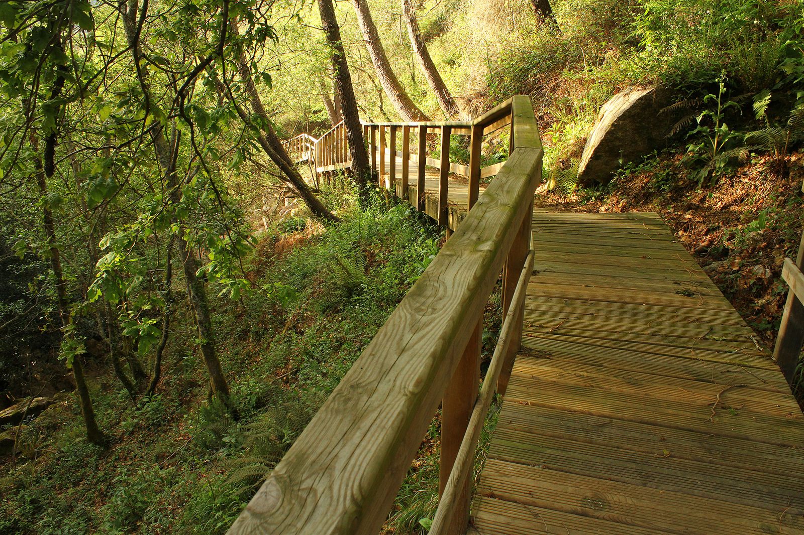 Sendero en Porriño