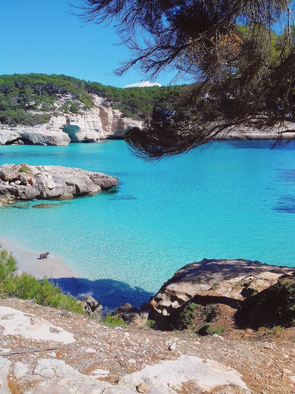 Cala Mitjana