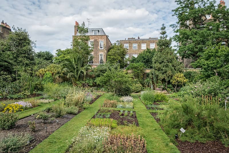 Chelsea Physic Garden