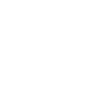 Password Icon