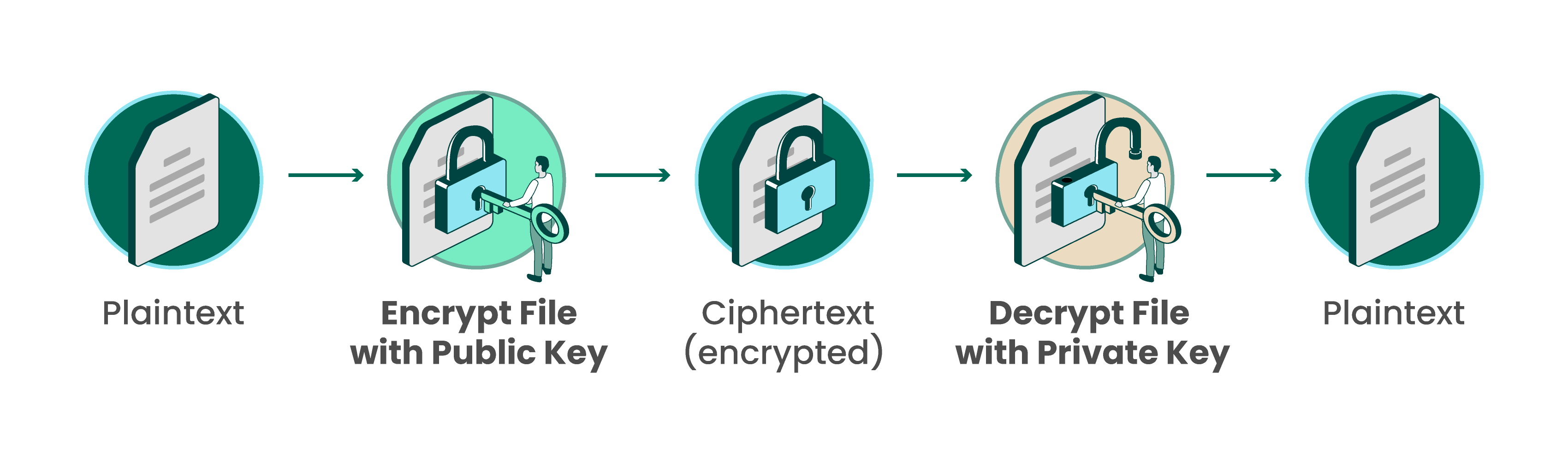 AI in Cybersecurity: A Race Against Evolving Threats