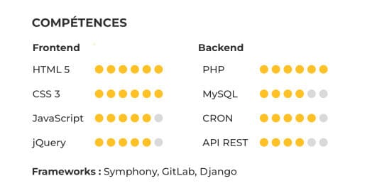 compétences informatiques CV développeur web