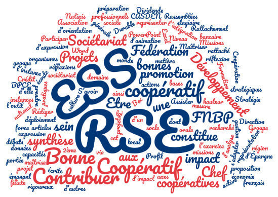 Exemple de présentation des compétences informatiques dans un CV