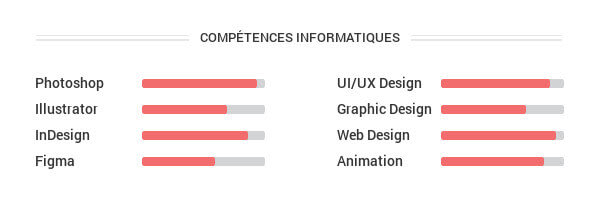 Exemple compétences informatiques CV