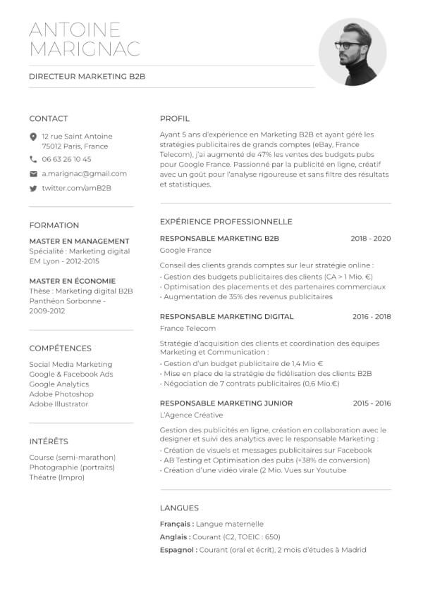 CV en français responsable marketing