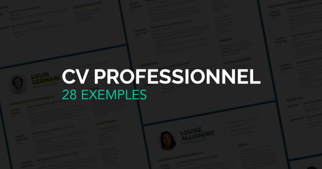 Post - 28 Exemples de CV Professionnel à Télécharger en Word [2024]