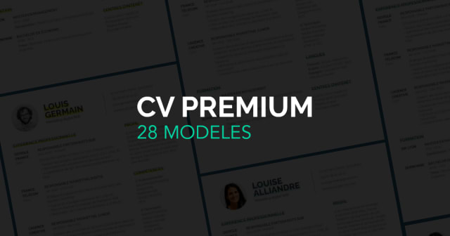 Post - 28 Meilleurs Modèles de CV Payant en Ligne [2024]