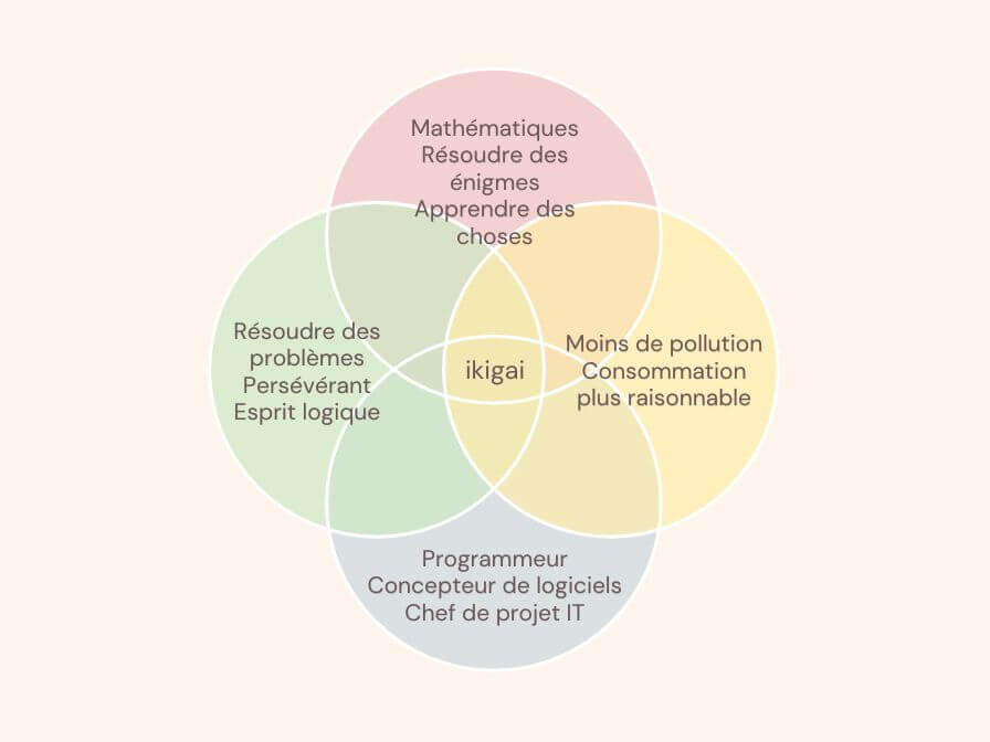 Exemple d'ikigai rempli