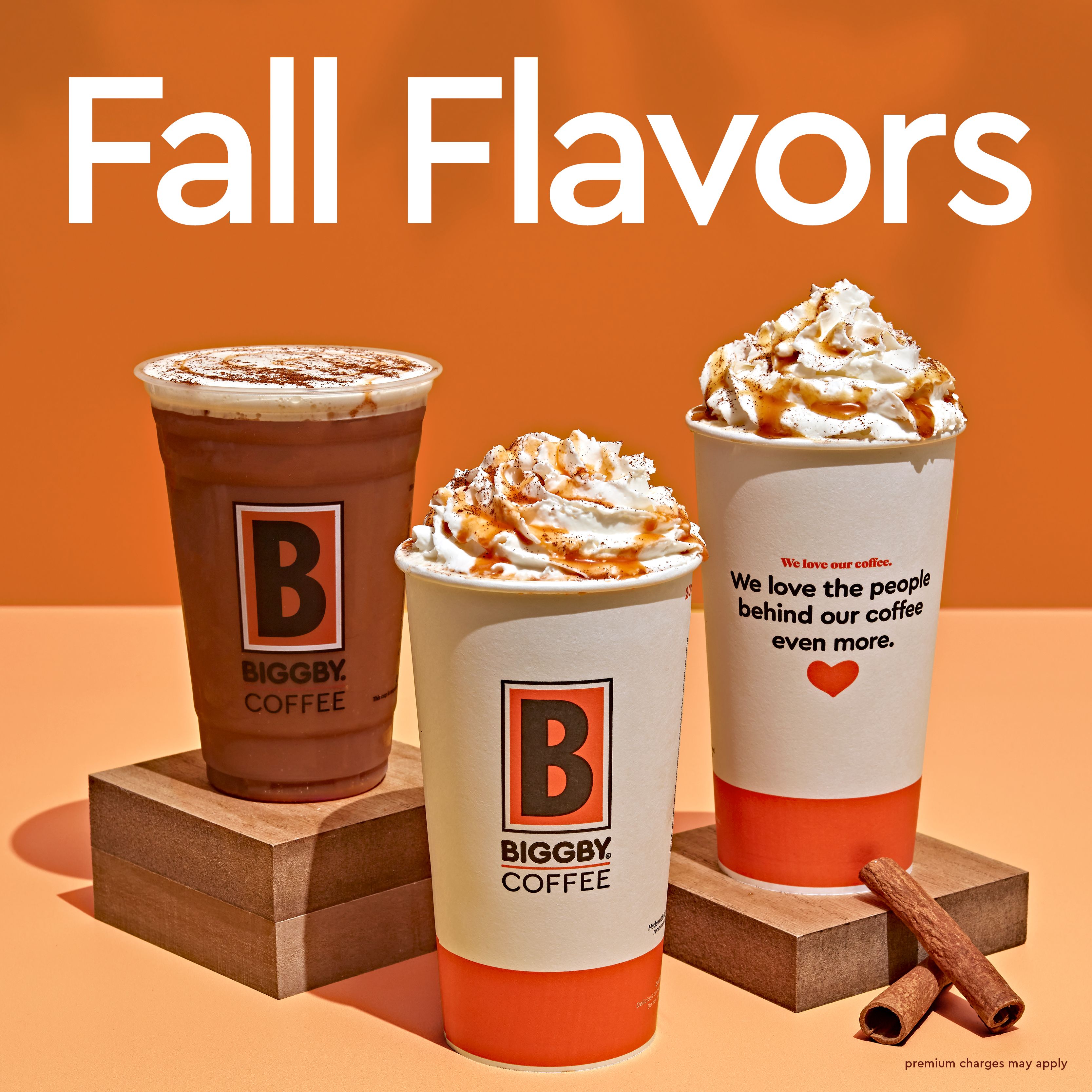 Biggby Frozen Hot Chocolate Recipe